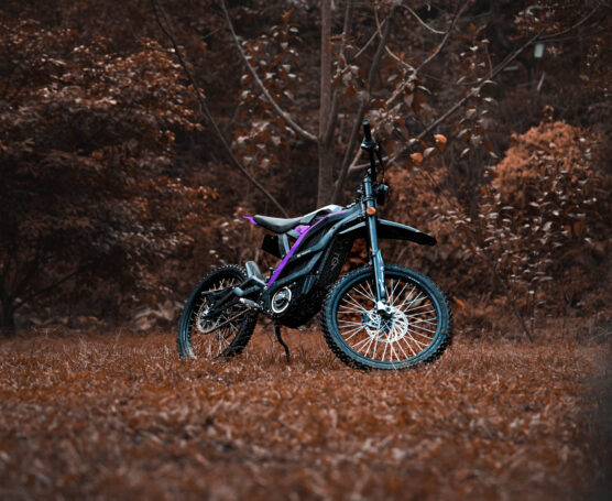 79BIKE Falcon PRO — fotografie 2