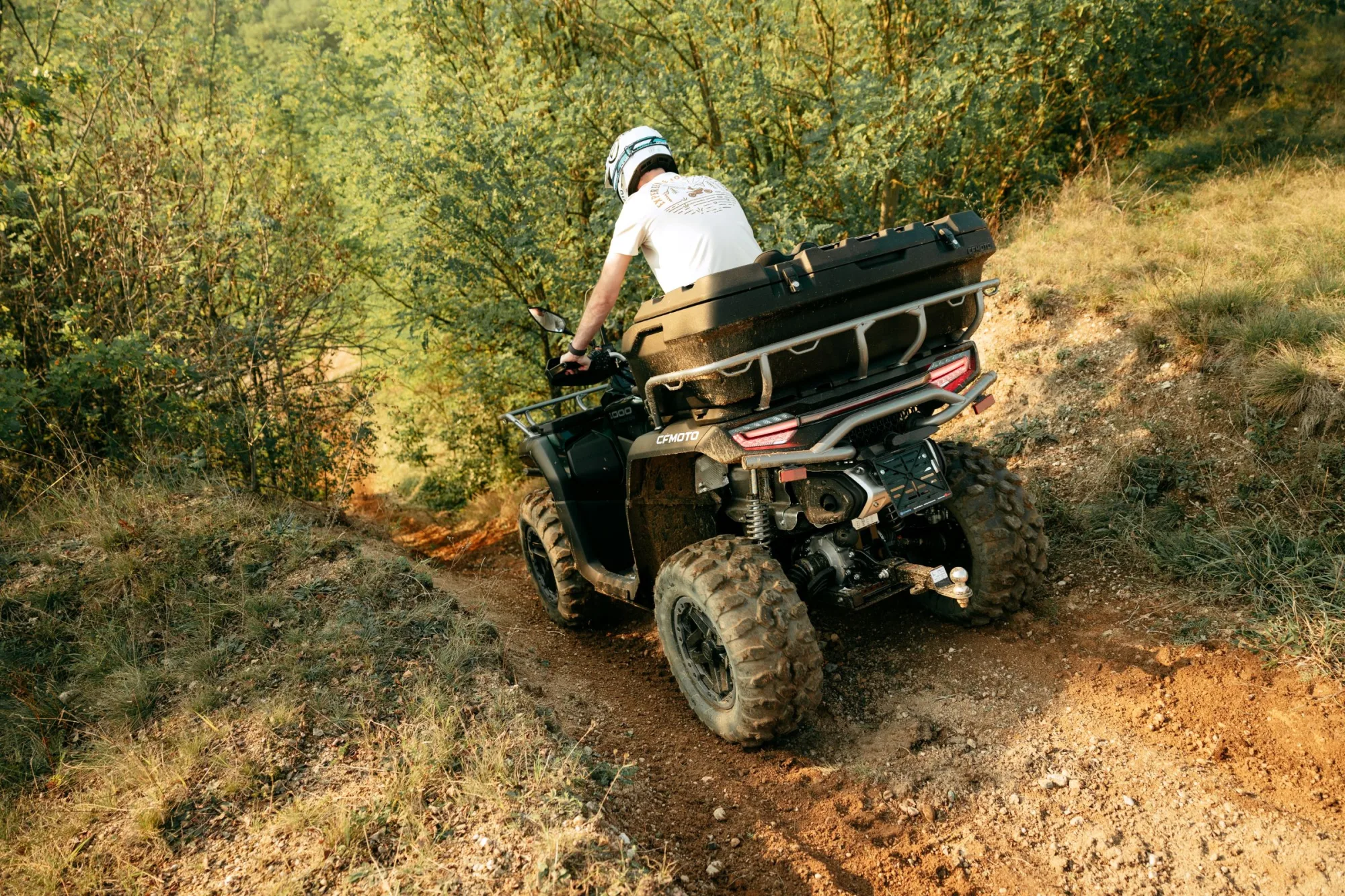 Asistenti bezpečnosti