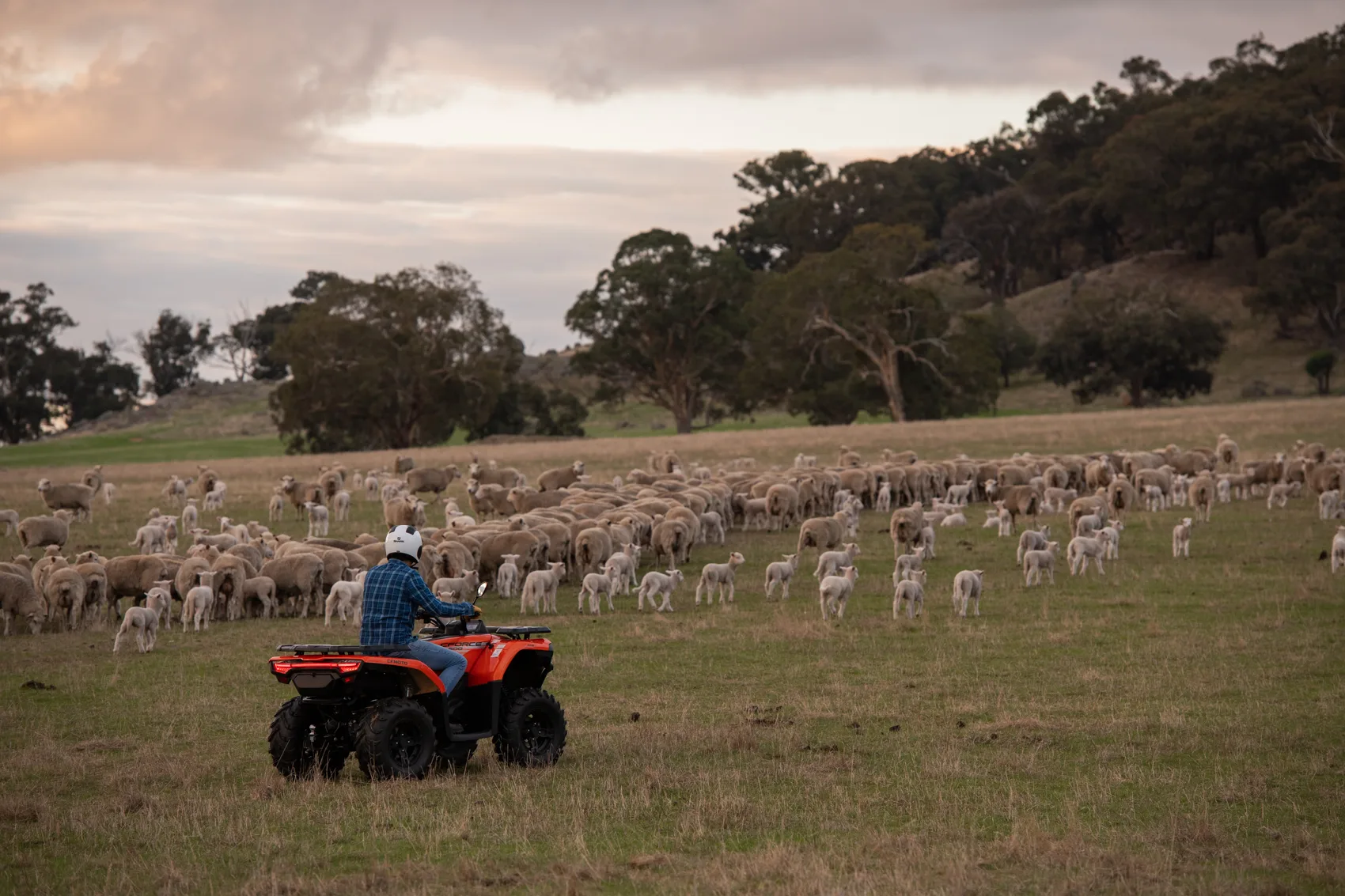 GLADIATOR X520 G2 — fotografie 8