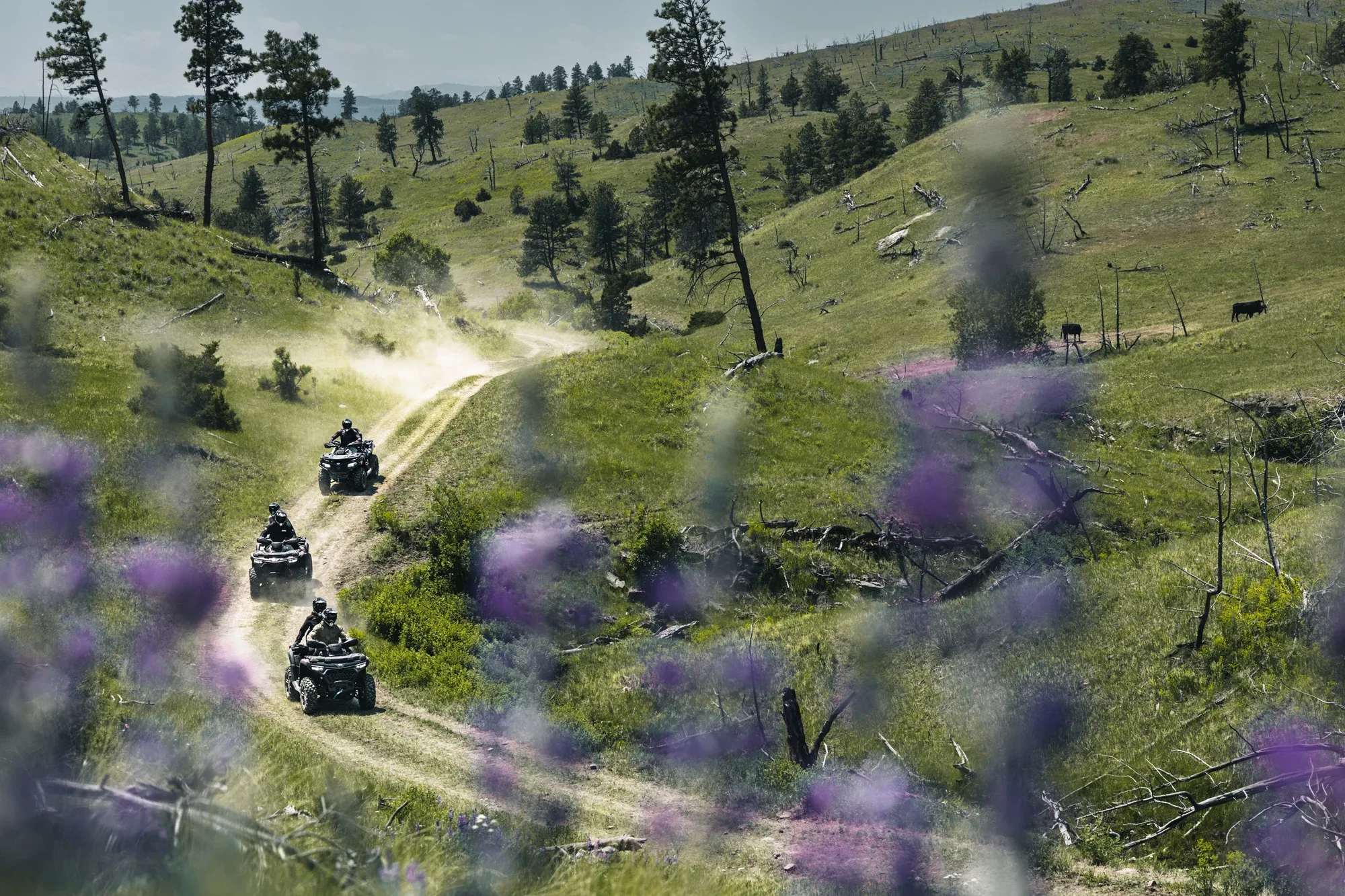 GLADIATOR X850 G3 — fotografie 27