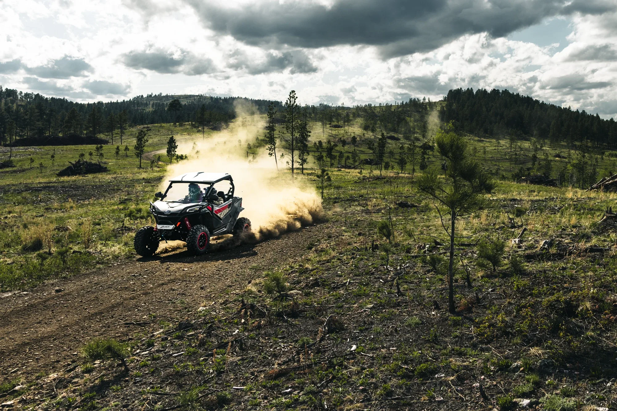 GLADIATOR Z950 SPORT — fotografie 12