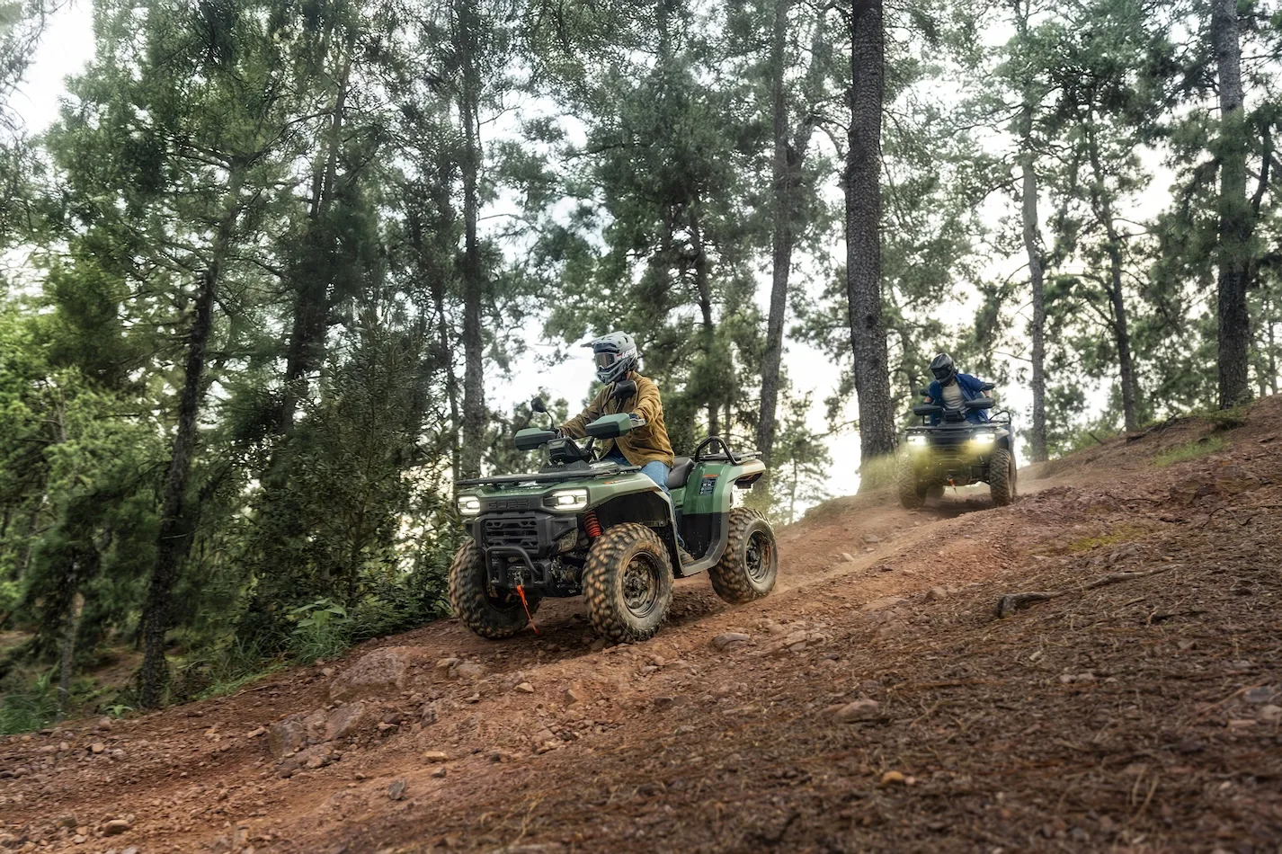 TERROX 550 — fotografie 10