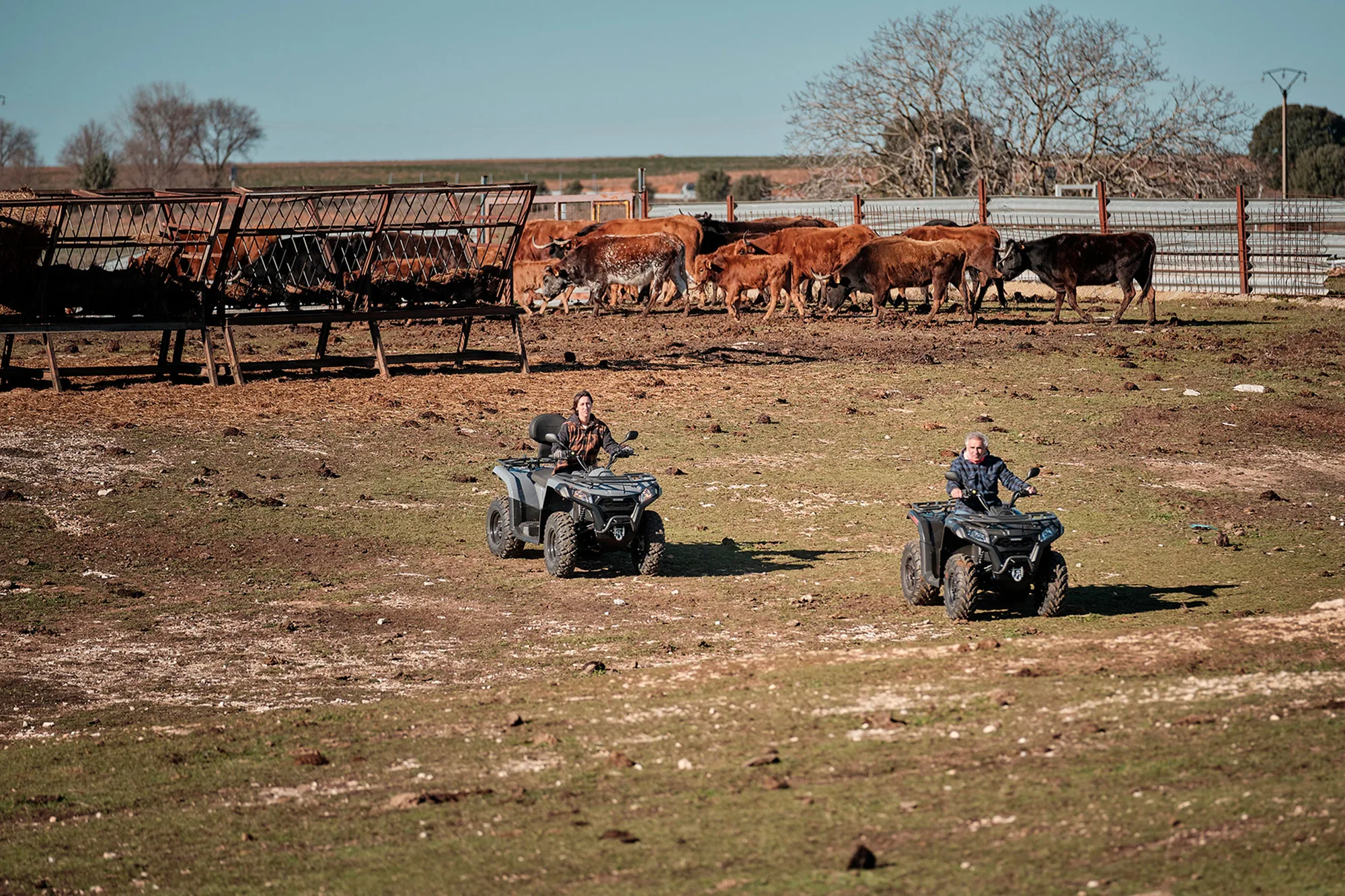 TERROX 500 — fotografie 8